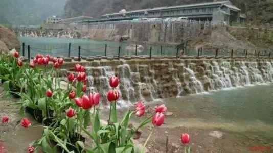 电脑什么应用商城好用游戏画面