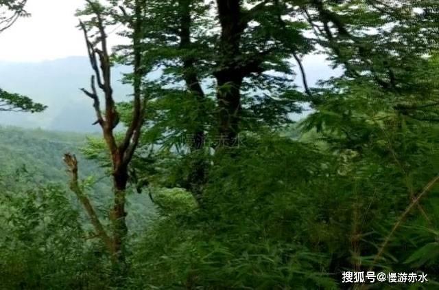 九张羊皮纸