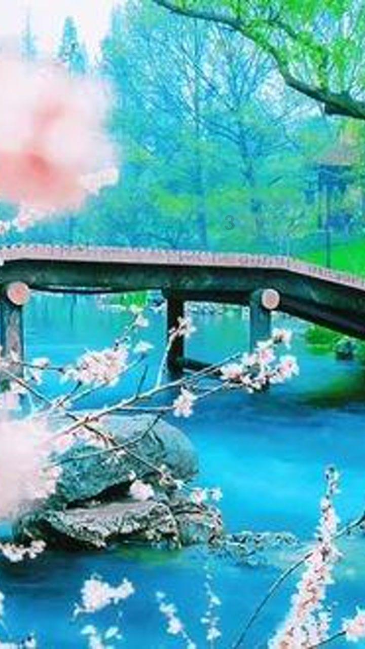是金子总会发光——记永州工商职业中专2023年国家中职奖学金获得者张文杰